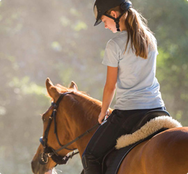 Посадка на лошадь