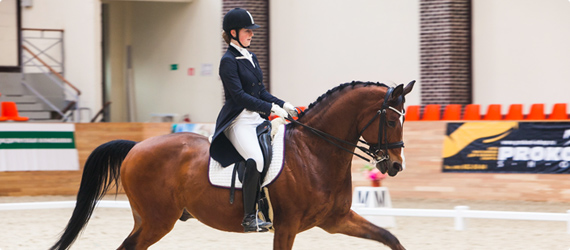 Основы безопасности конного спорта